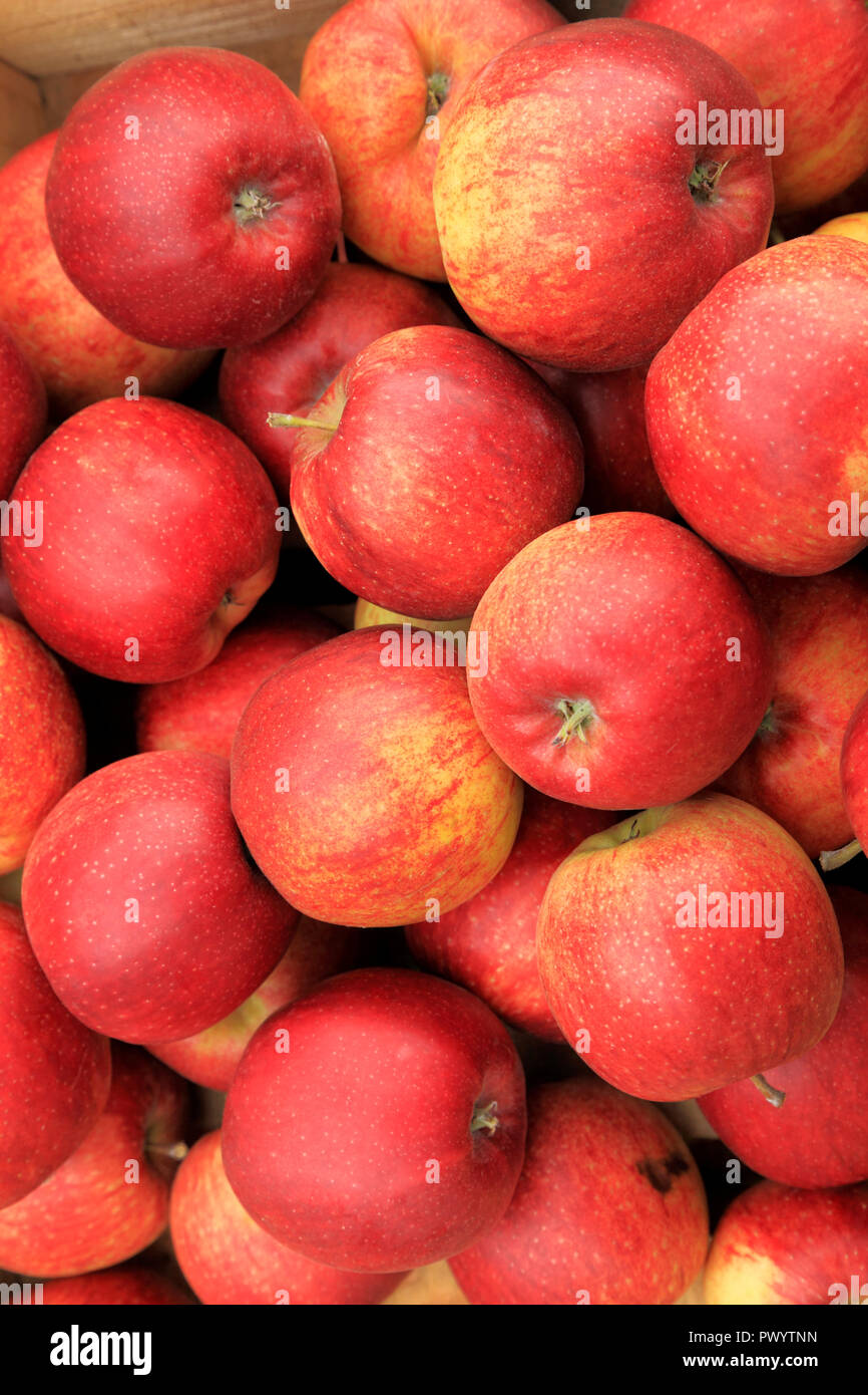 Apple 'Jonah Red', apples, malus domestica, farm shop, display, variety, varieties, 'Jonah Red' Stock Photo