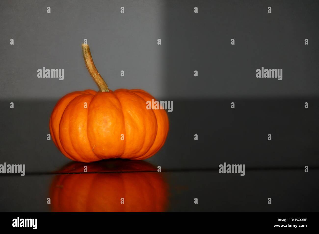 A miniature pumpkin sitting on wood with a reflection Stock Photo
