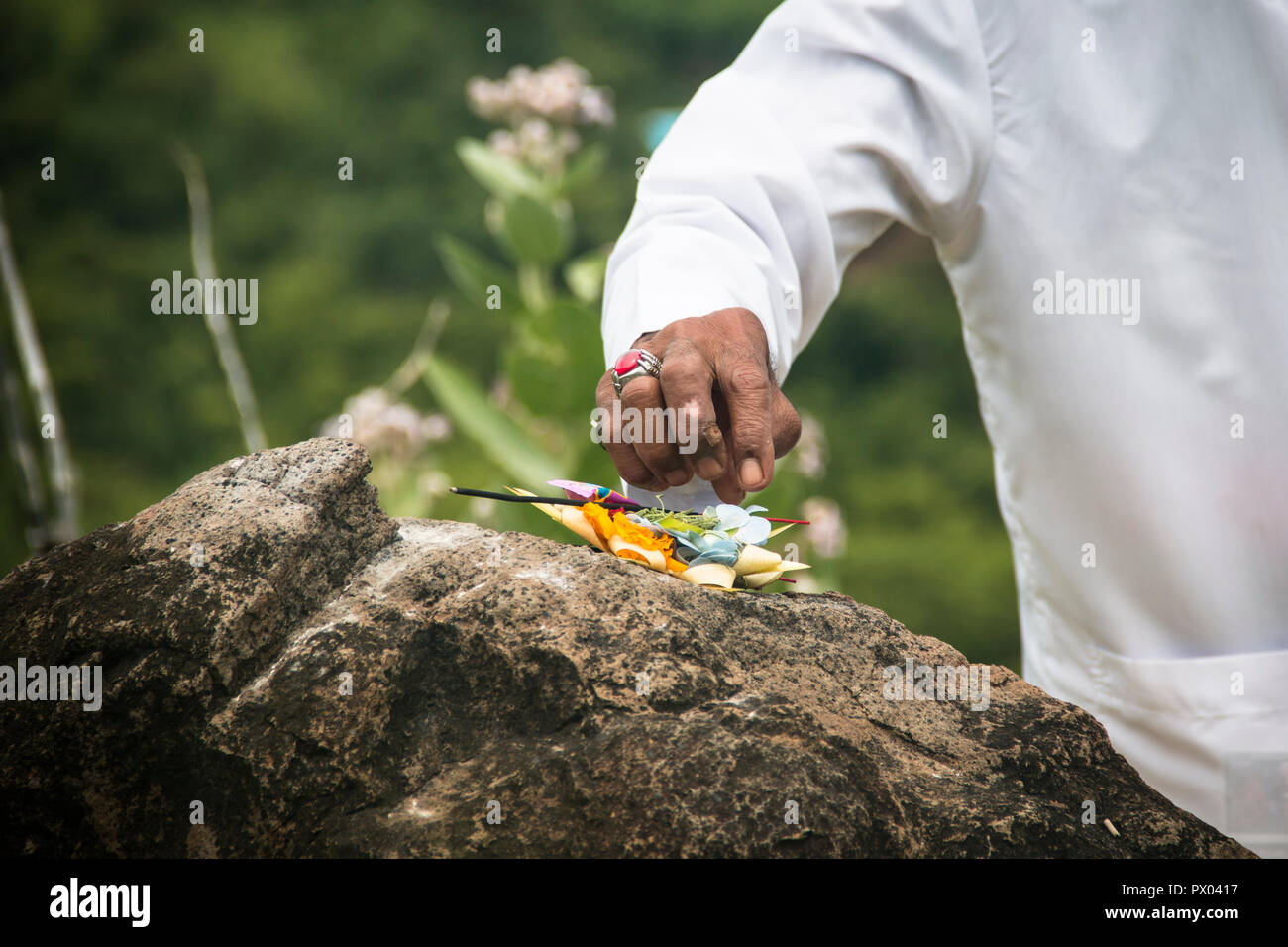 A hindu priest performing offerings in a temple in Pemuteran in Bali, Indonesia Stock Photo