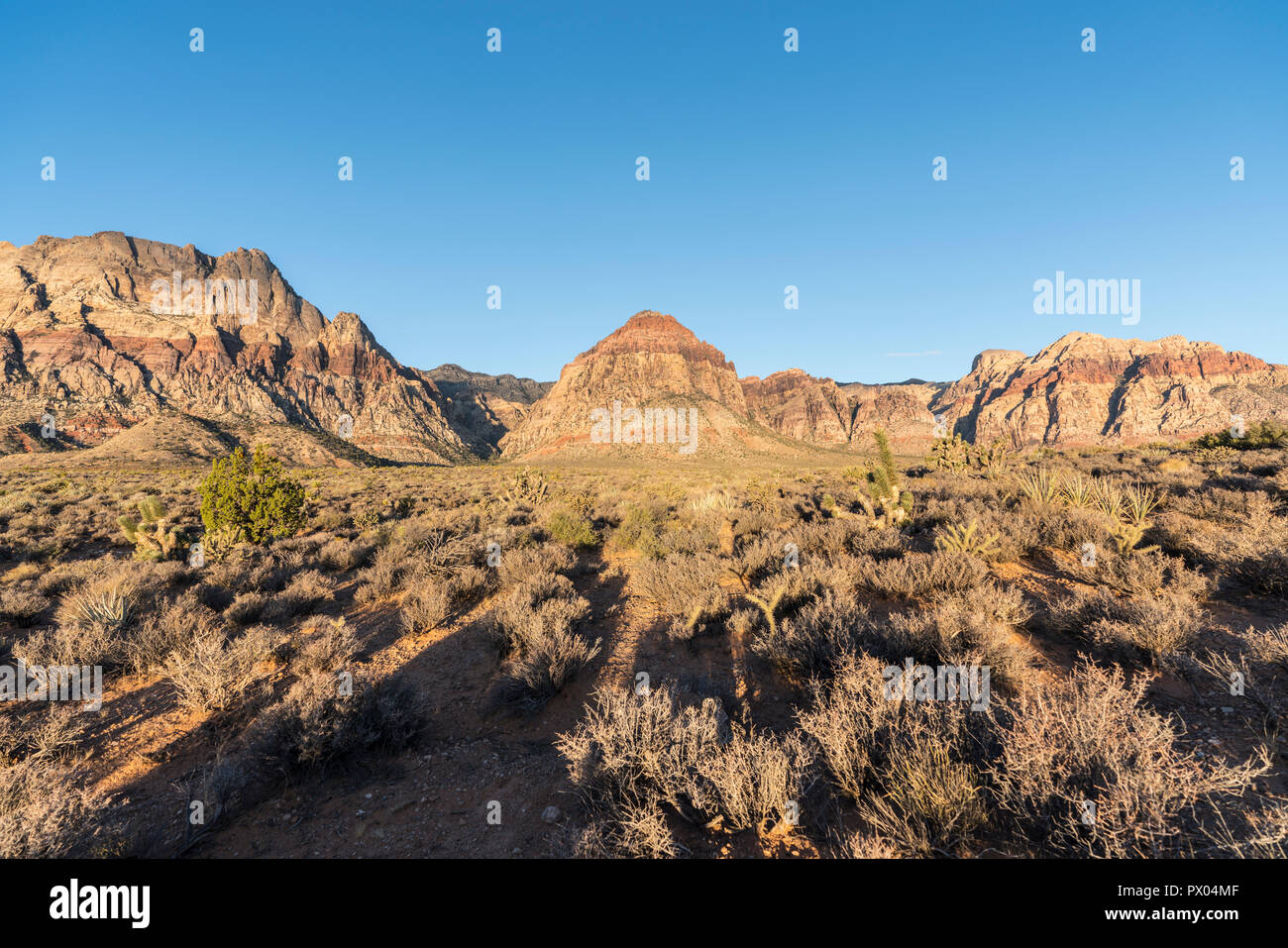 Morning view Rainbow Mountain at Red Rock Canyon National Conservation Area.  A popular natural area 20 miles from Las Vegas, Nevada. Stock Photo