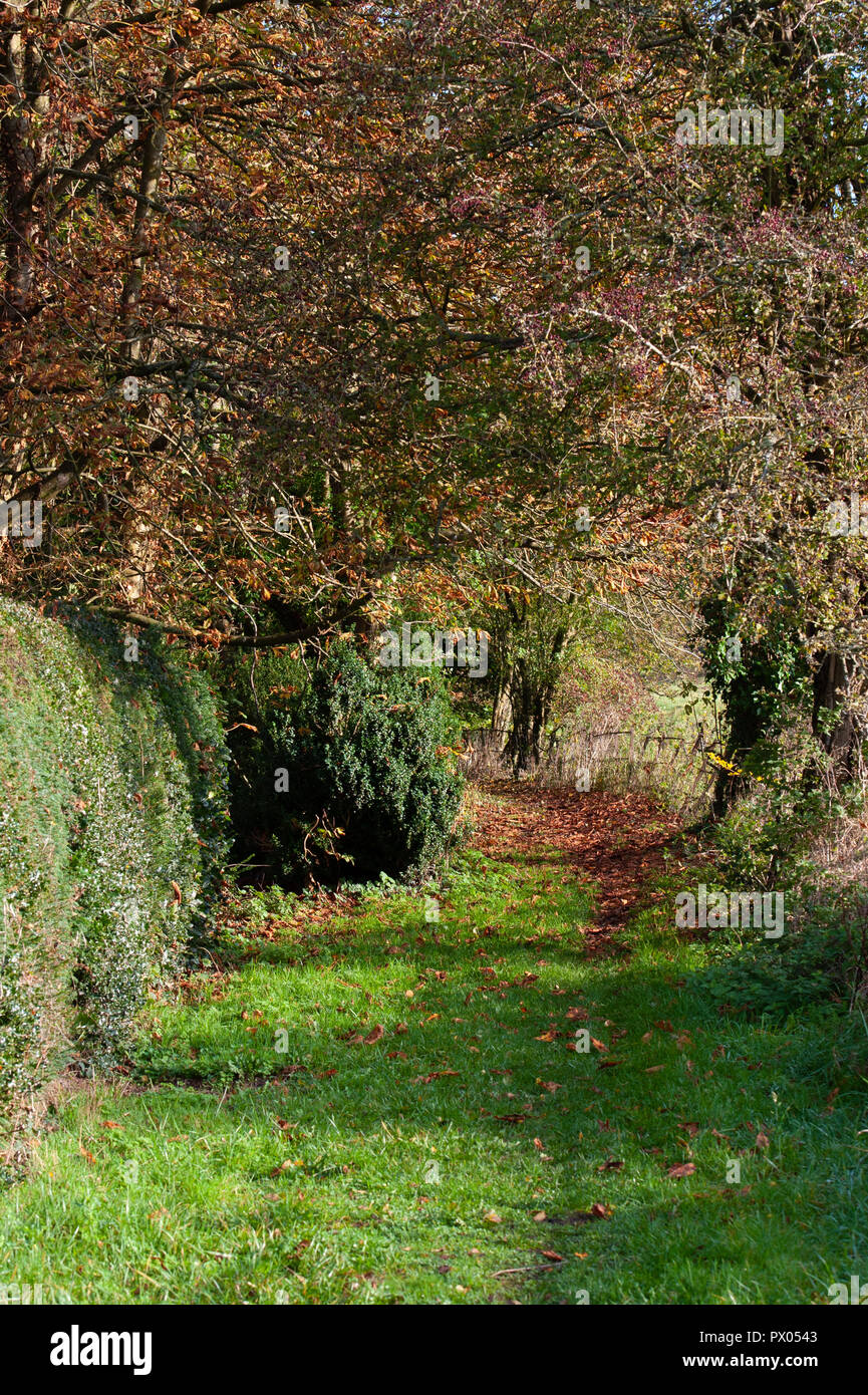 A country footpath in the autumn near Bishopstrow, Warminster, Wiltshire, UK. Stock Photo