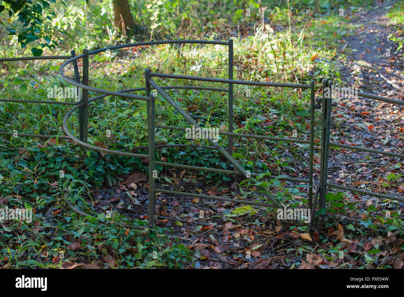 A country footpath with kissing gate in the autumn near Bishopstrow, Warminster, Wiltshire, UK. Stock Photo