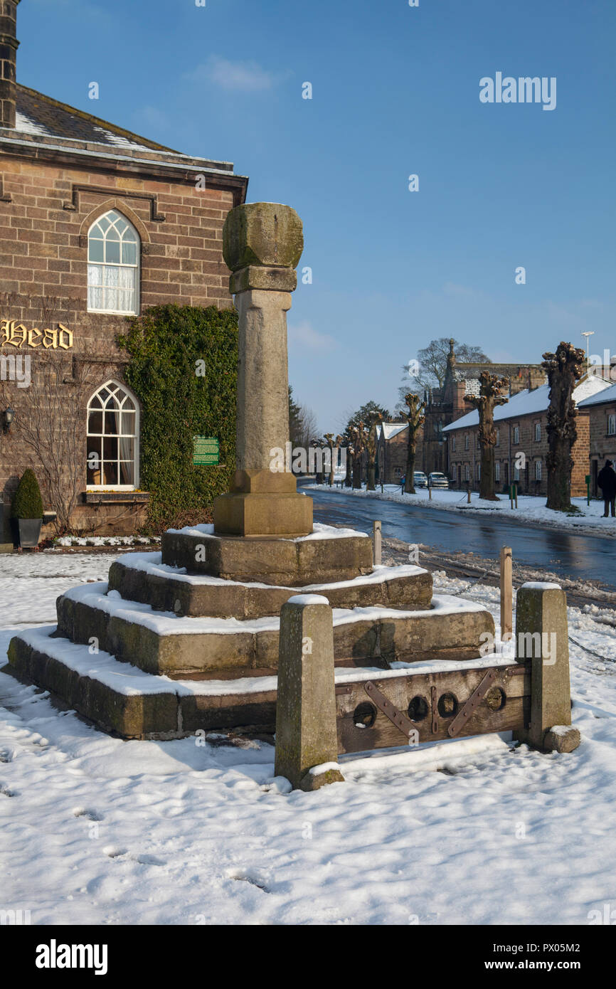 Boars head hires stock photography and images Alamy