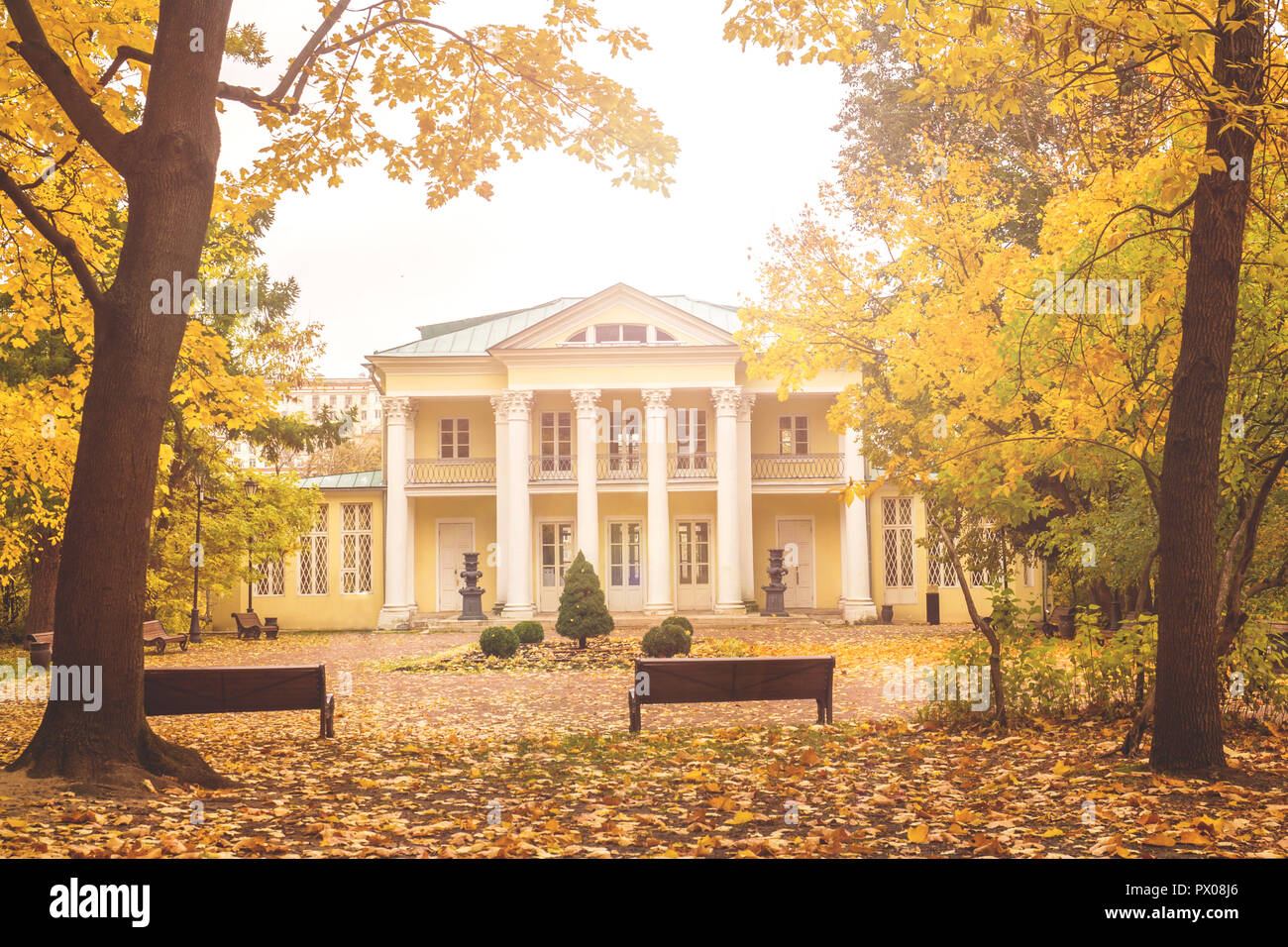 Autumn in the city Park, trees in yellow foliage Stock Photo - Alamy