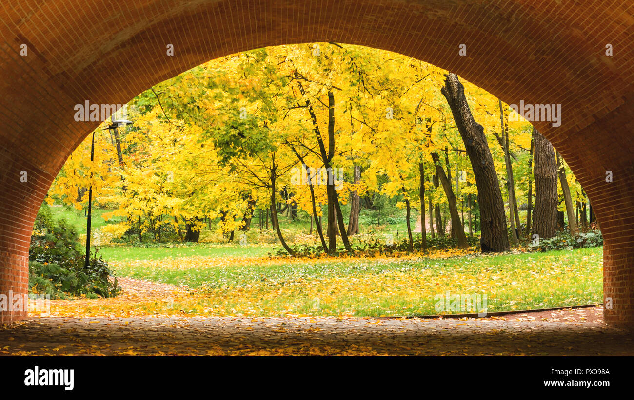 Autumn in the city Park, trees in yellow foliage Stock Photo - Alamy