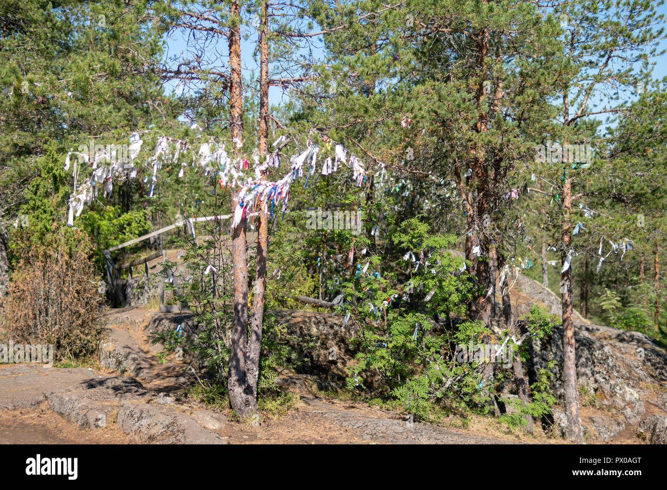 Ritual rags on the ritual tree Stock Photo - Alamy