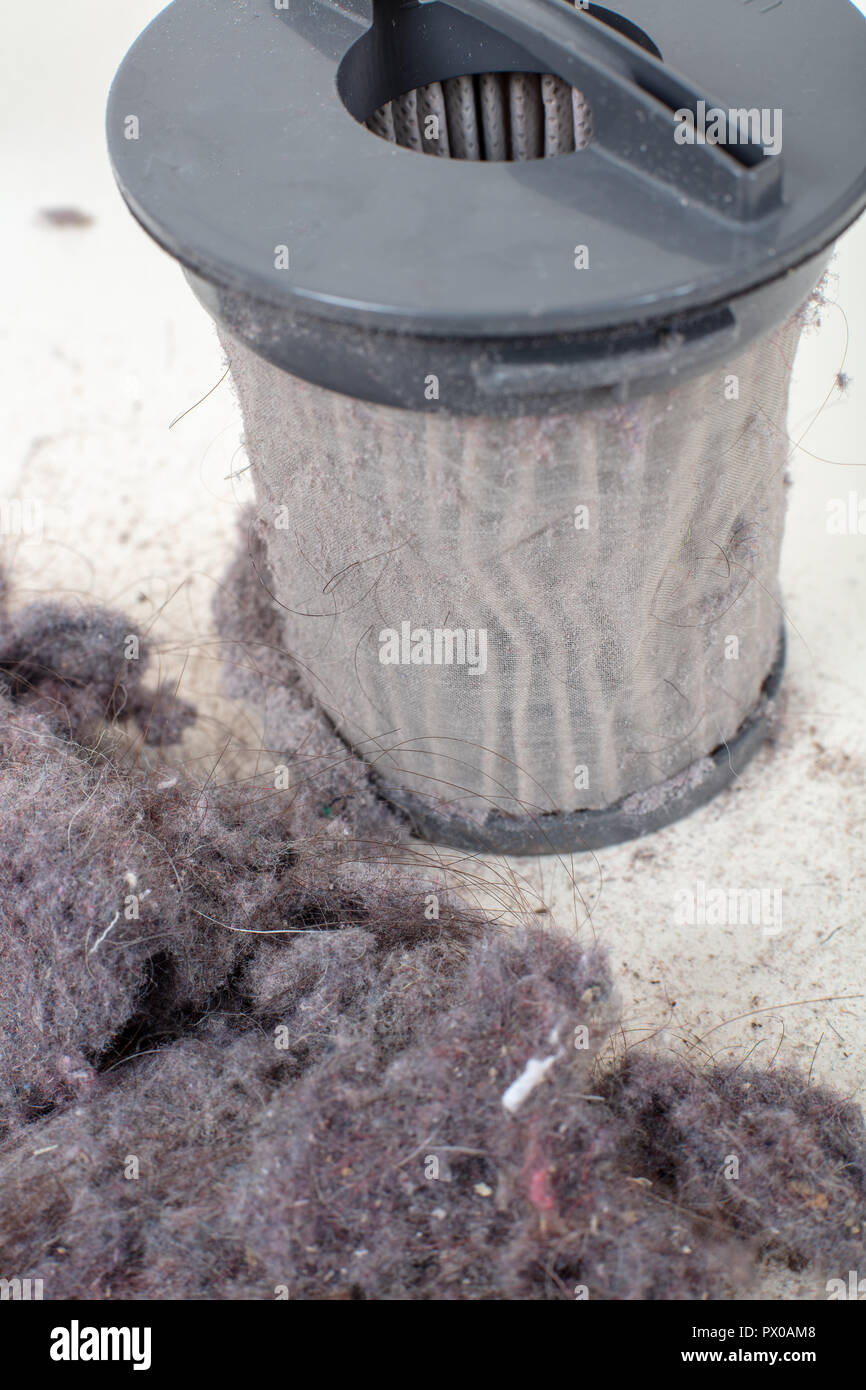 Common household dust on HEPA (High efficiency particulate air) filter