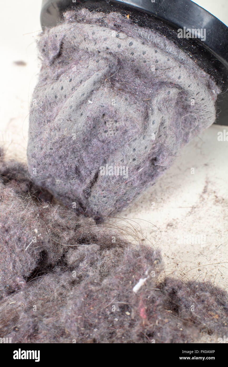 Common household dust on HEPA (High efficiency particulate air) filter