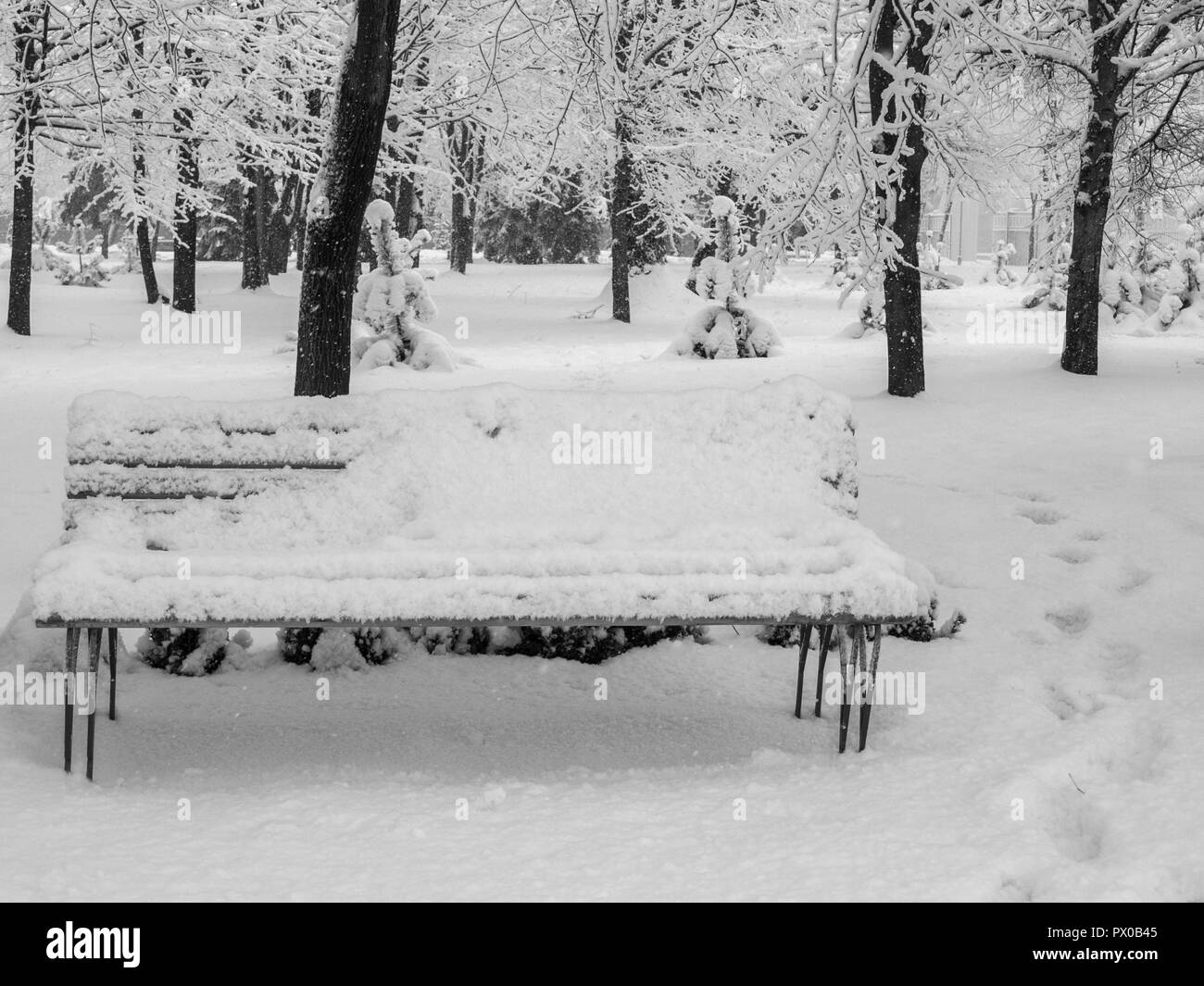 City park after snowfall. Bench and trees covered with snow. Weather in ...