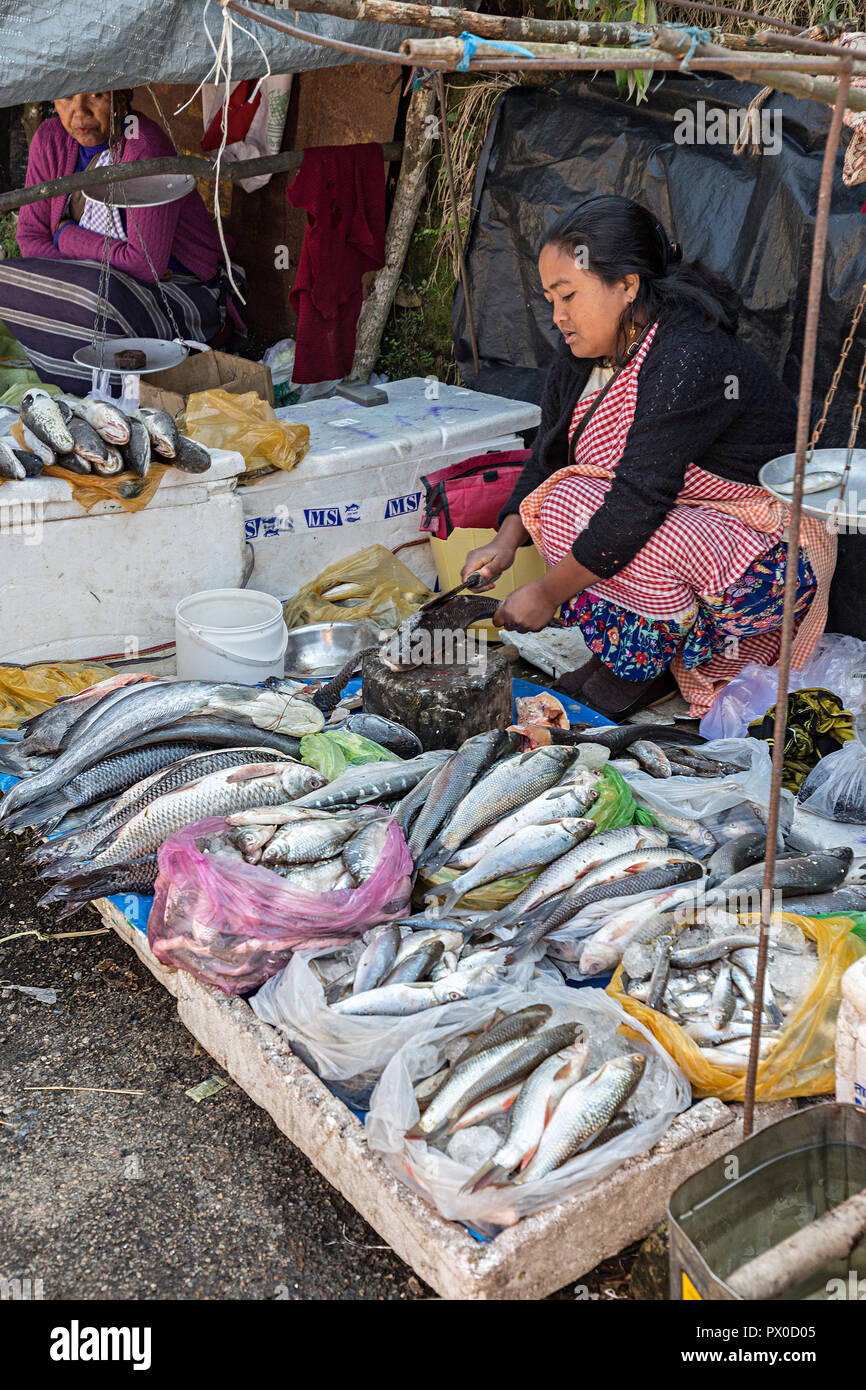 Woman cutting up fish on market stall, Mawsynram, Meghalaya, India Stock Photo