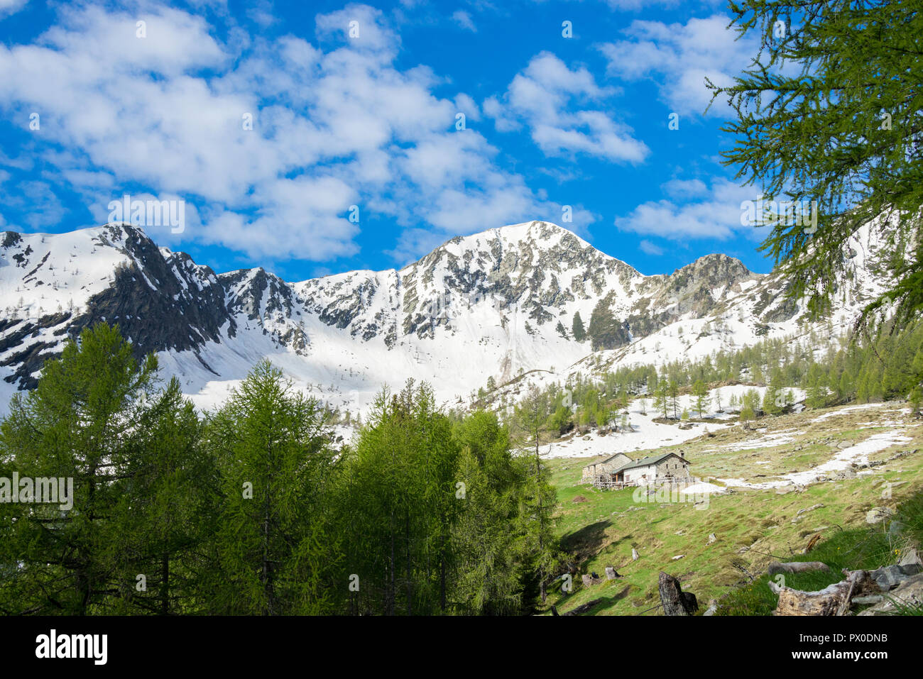 Snowy Peaks And Green Meadows During Spring, Casera Di Olano, Valgerola 