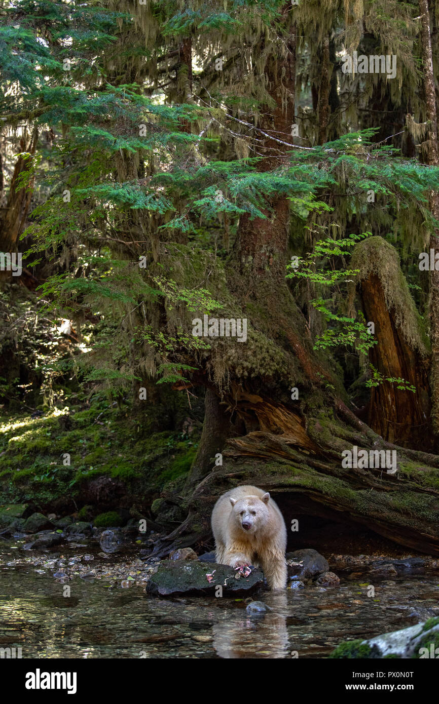 Moksgmol hi-res stock photography and images - Alamy