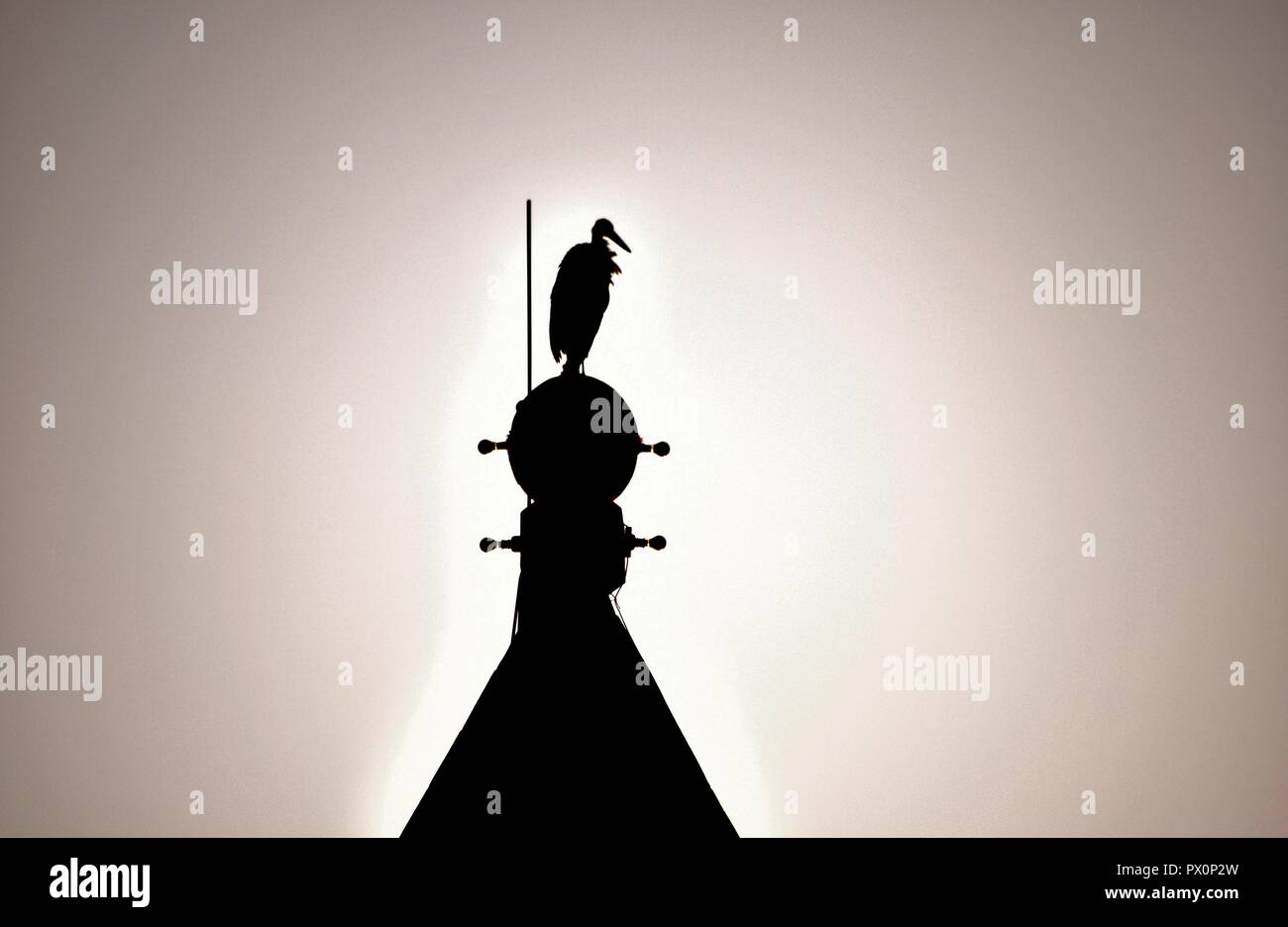 Silhouette of White Stork, Ciconia ciconia, migrating over the Maltese