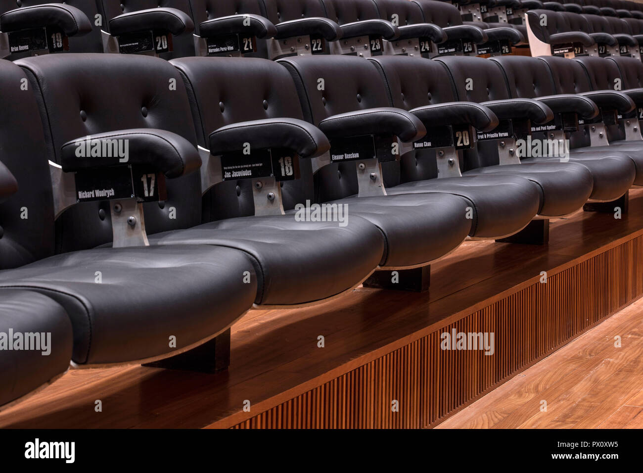 Rows of seating in the restored Purcell Room at the Queen Elizabeth
