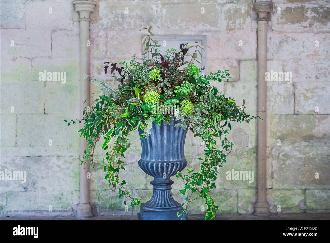 Stone vase planter with fustian green flowers and cascading green ivy