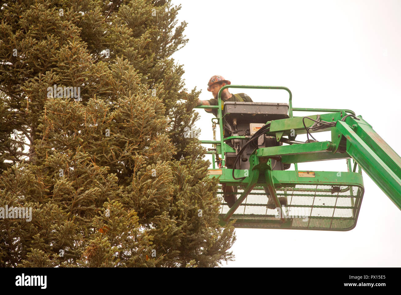A workman on a cherry picker crane picks out loose tree branches on a holiday Christmas tree being installed in a luxury shopping mall in Newport Beach, CA  (Photo by Spencer Grant) Stock Photo