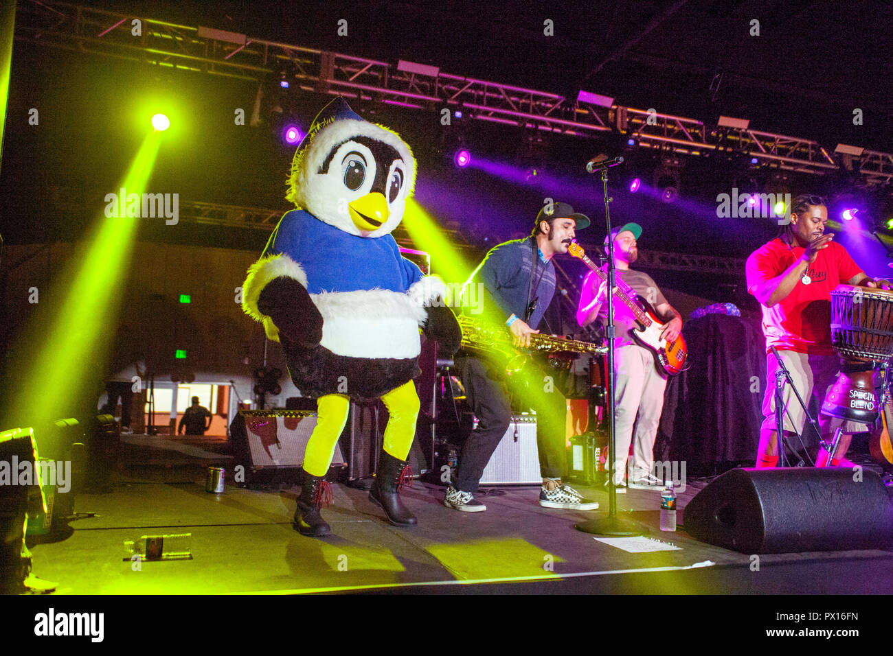 A rock 'n roll singer in a penguin costume is a band mascot during a community festival concert in Costa Mesa, CA. Stock Photo