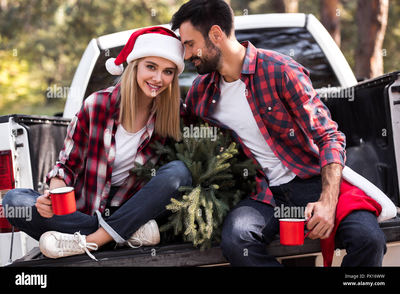 santa hat for truck