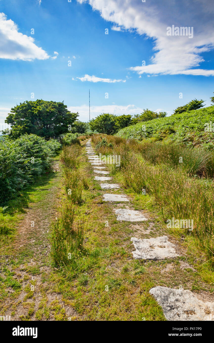 Granite slabs form a track on Bodmin Moor, all that remains of an old railway line, built in the 19th century to carry coal onto the moor, and copper  Stock Photo
