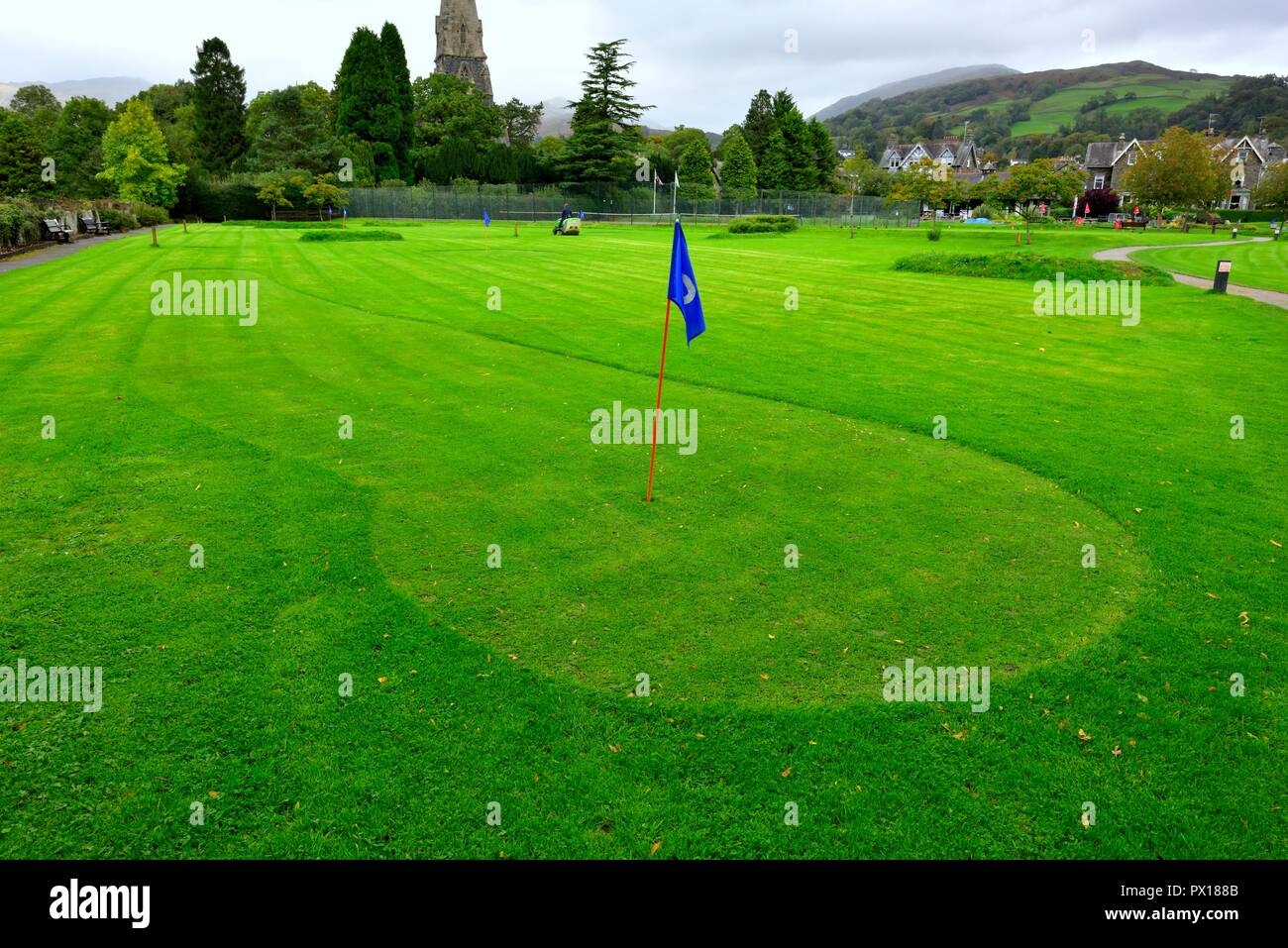 Freshly cut grass on a putting green with blue flag hires stock