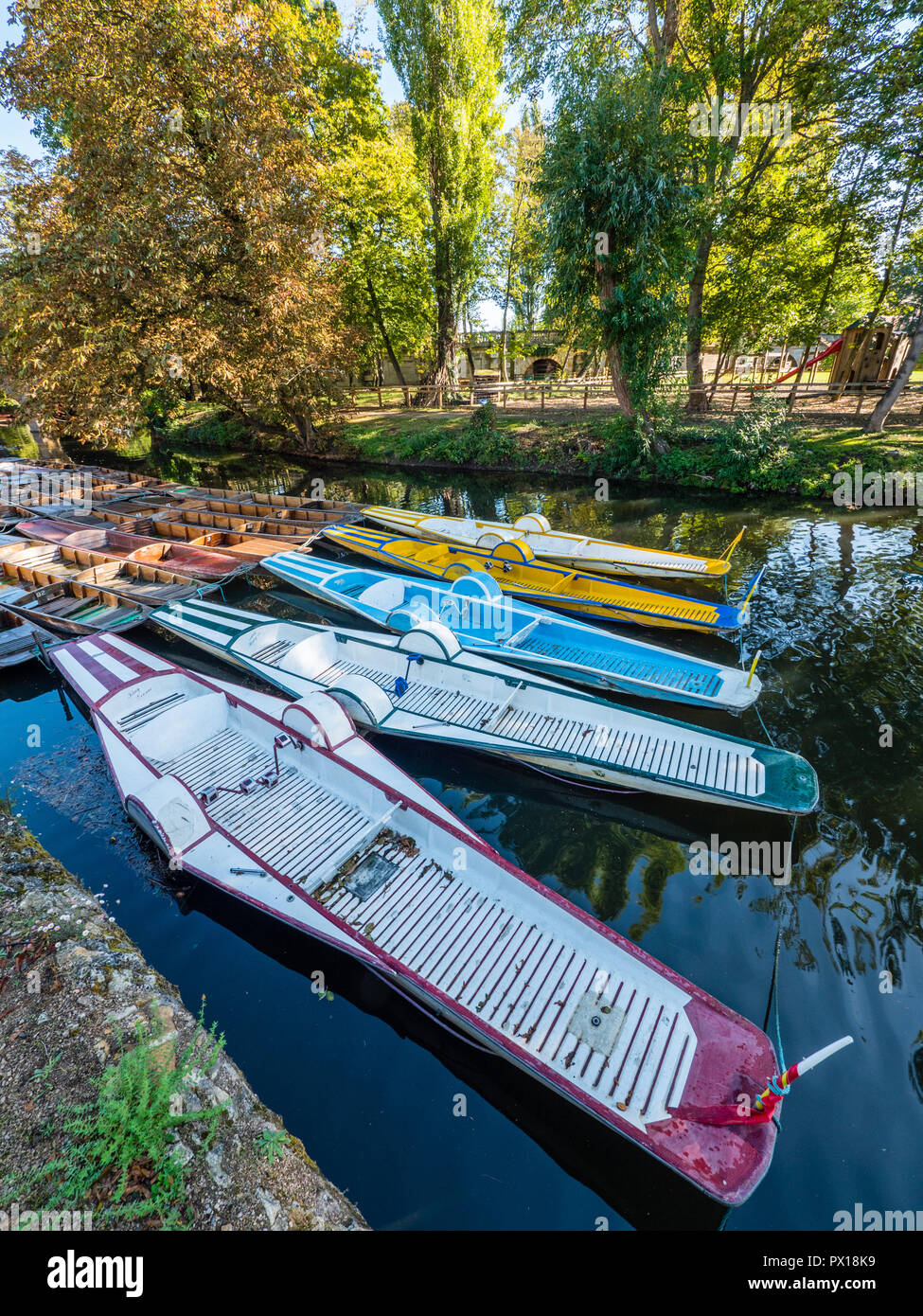 Rowing Boats, River Cherwell, Oxford, Oxfordshire, England, UK, GB