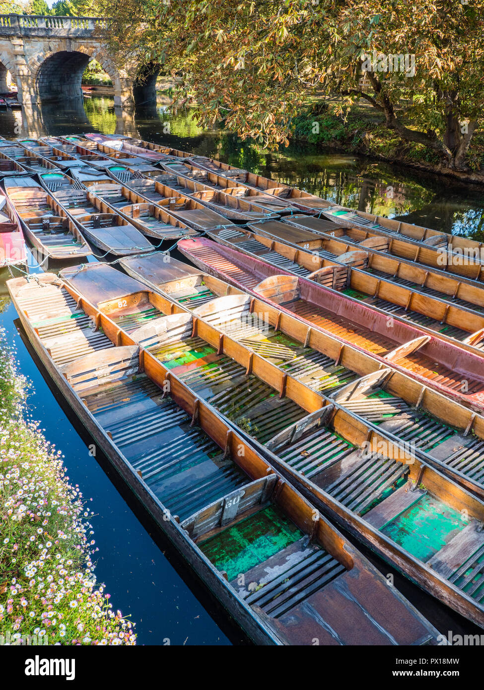 Punt, Punts on River Cherwell, Magdalene Bridge, University of Oxford Botanic Garden, Oxford, Oxfordshire, England, UK, GB. Stock Photo