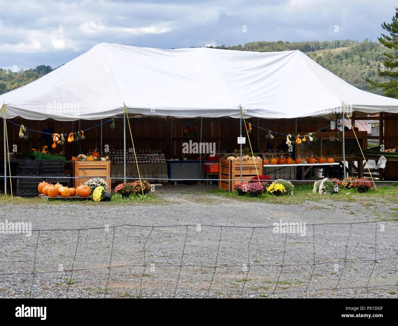 Unmanned, help yourself, honor system, farm stand in rural Lycoming County, Pennsylvania with pumpkins, gourds and eggs for sale. Stock Photo