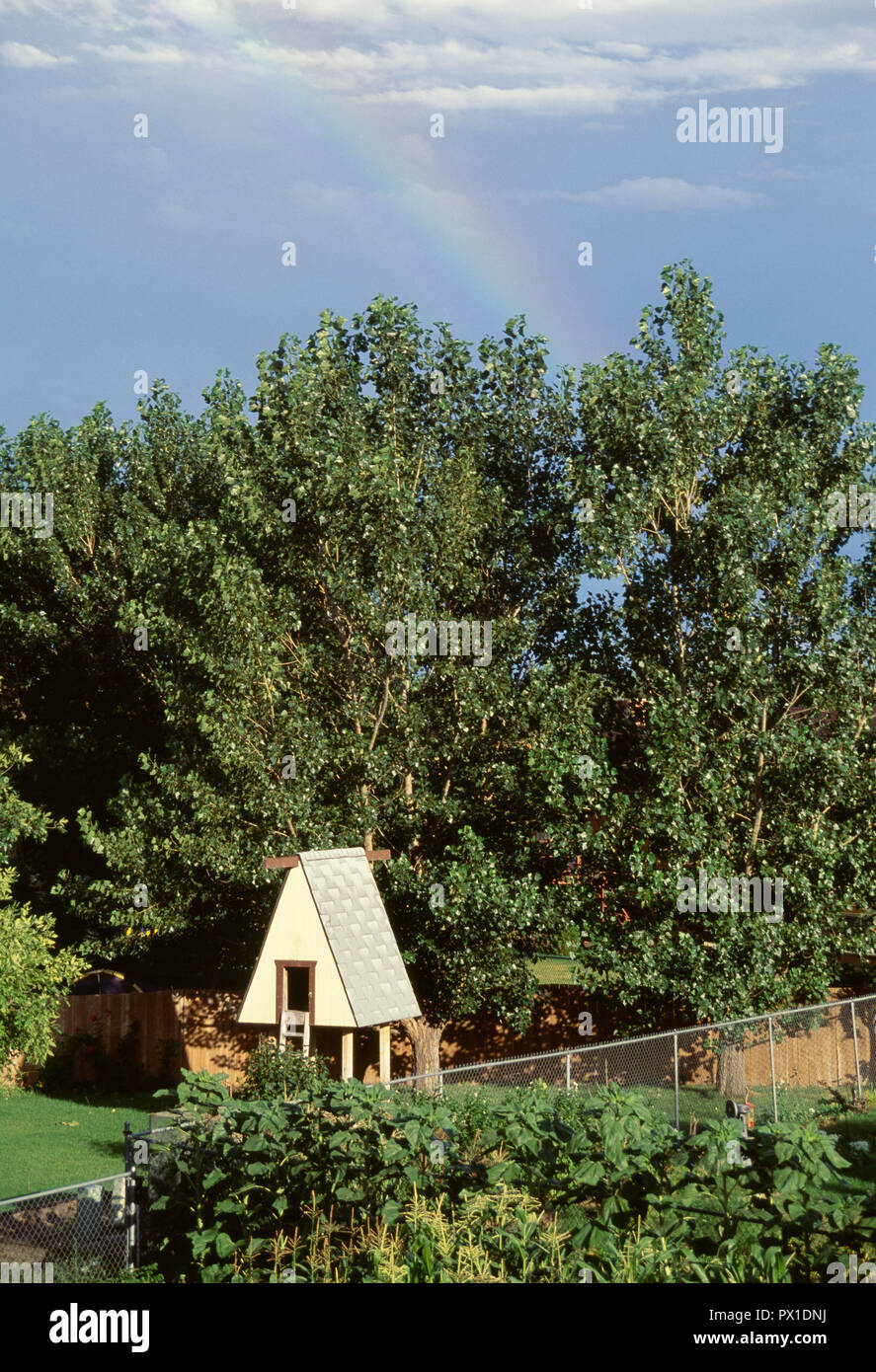 Children's Backyard Playhouse, USA Stock Photo Alamy