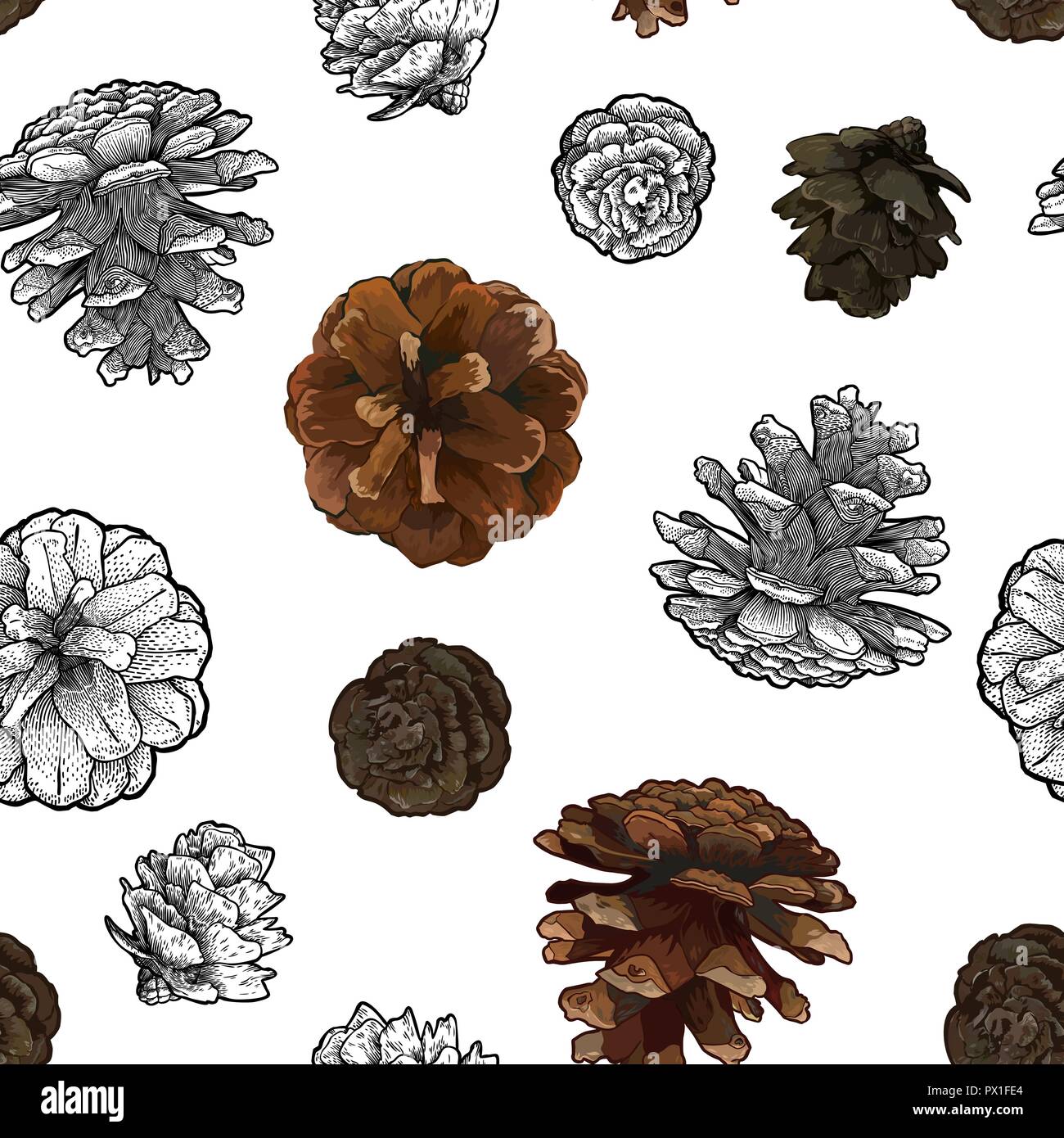 Pine cones seamless pattern isolated on white bacground Stock Vector ...