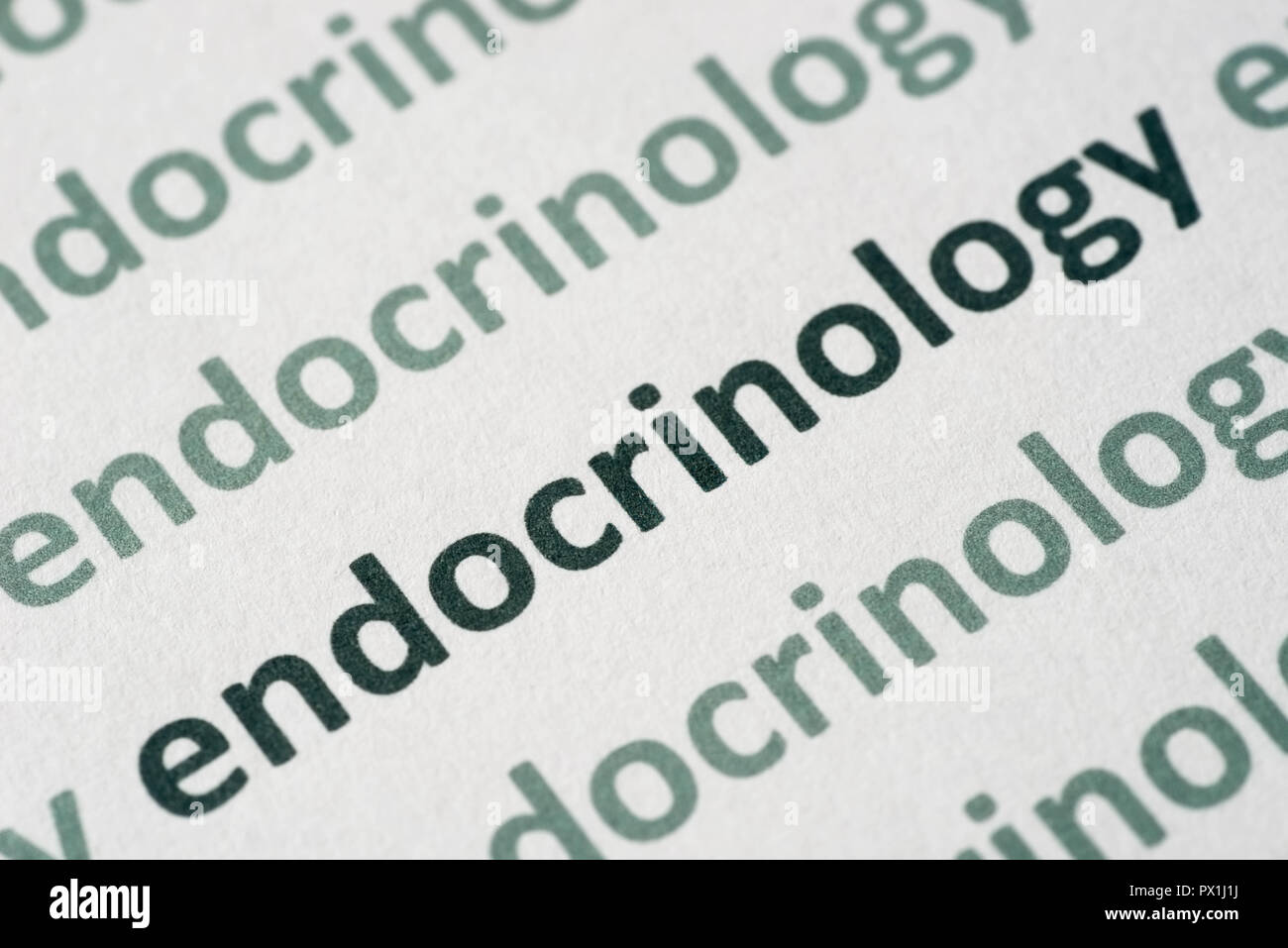 word  endocrinology printed on whte paper macro Stock Photo