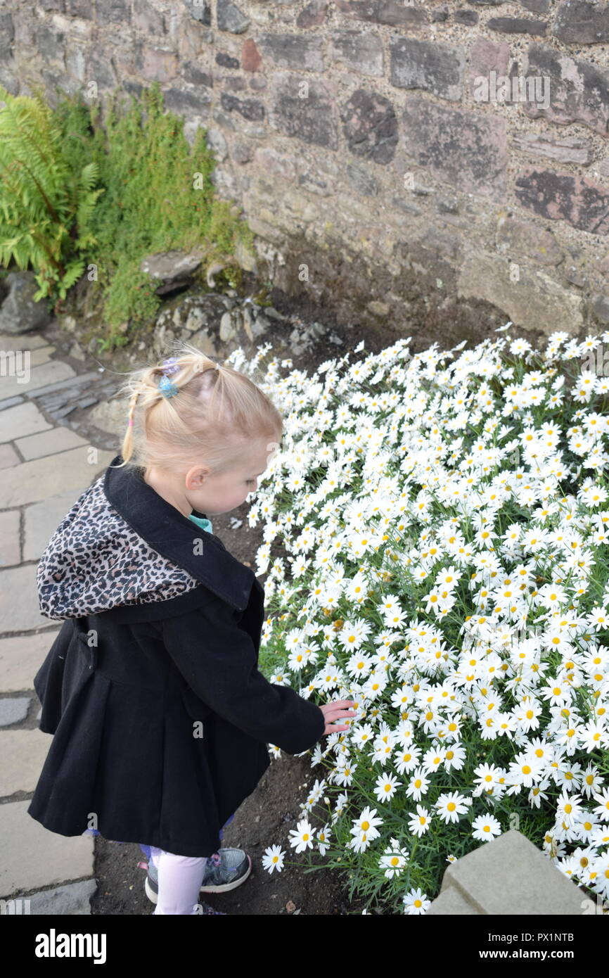 Beautiful little girl smelling the flowers Stock Photo