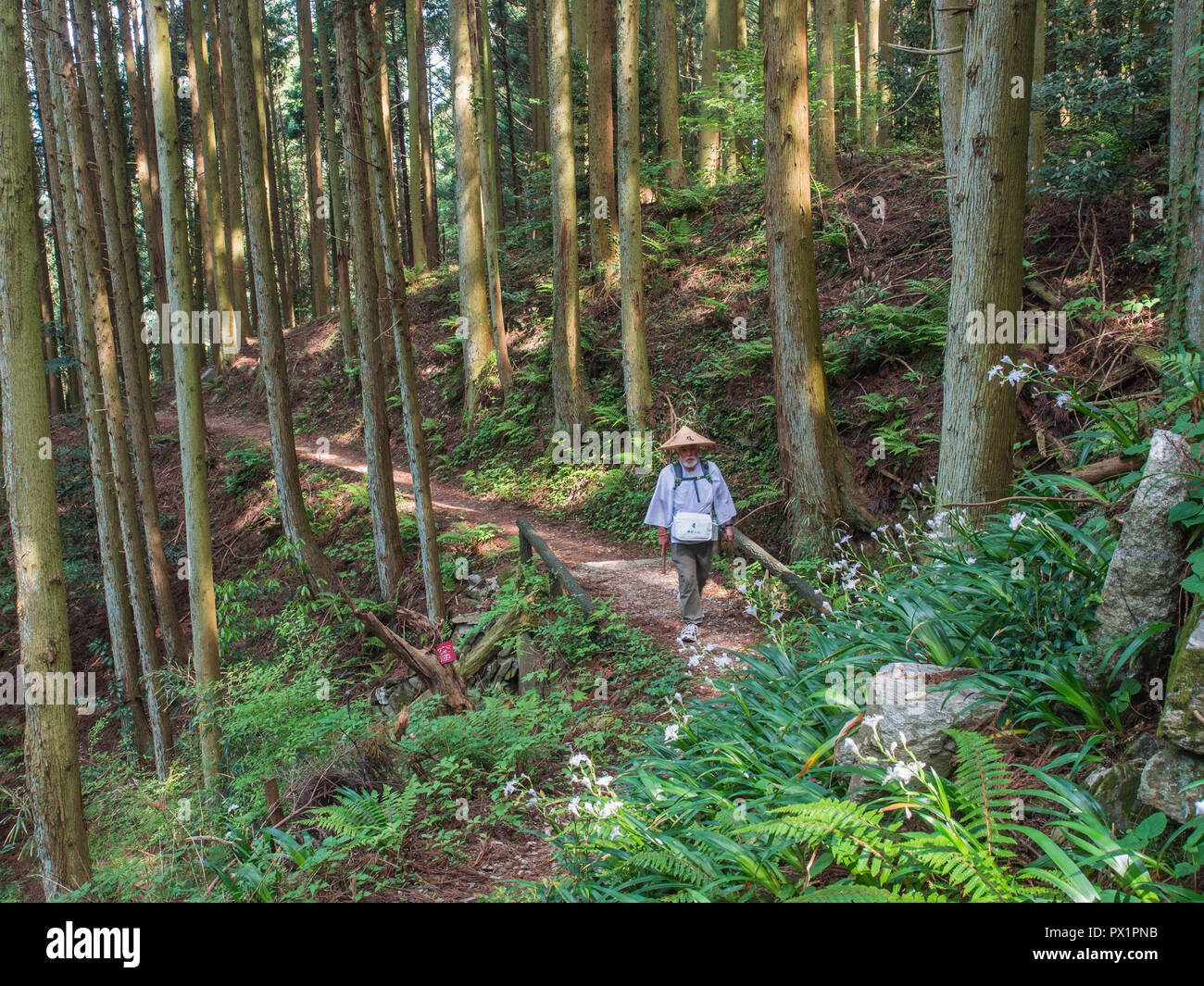 Henro pilgrim walking,  henro korogashi forest trail,  to Yokomineji temple 60, Shikoku 88 temple  pilgrimage, Ehime, Japan Stock Photo