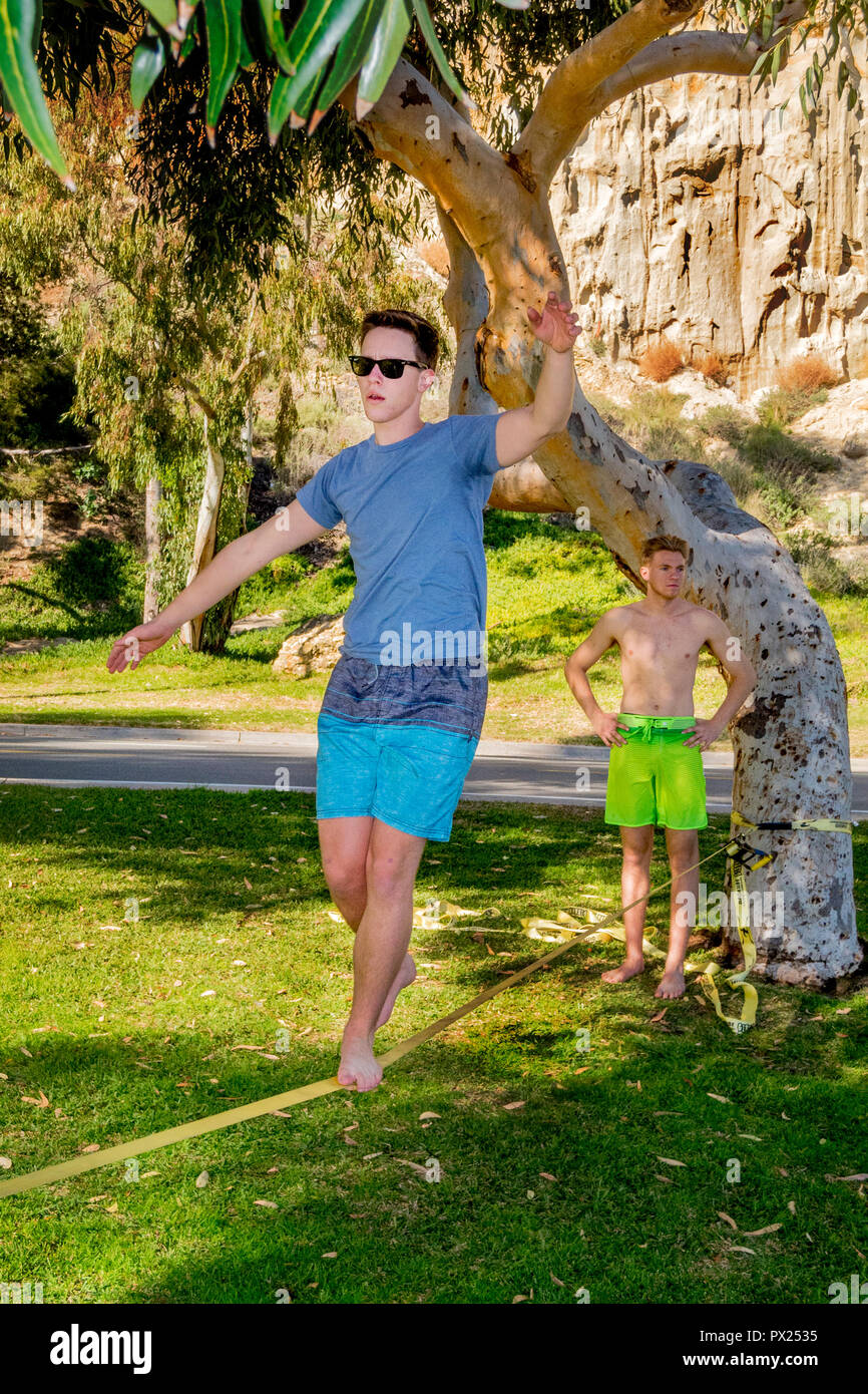 Tree Balance Rope A male young adult practices balancing on a tight rope stretched ...