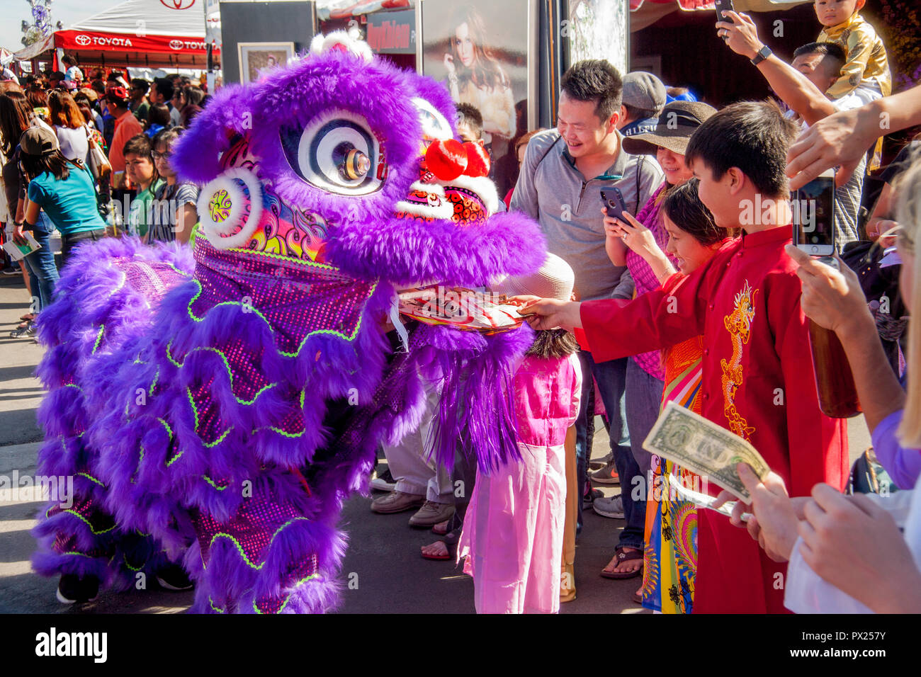 A purple pantomime lion gets placated with money at an Asian American cultural festival in Costa Mesa, CA. Stock Photo