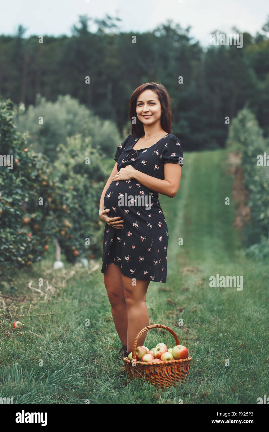 Happy healthy pregnancy. Portrait of pregnant young brunette Caucasian woman on apple farm with wicker basket. Beautiful expecting mom lady in dress a Stock Photo