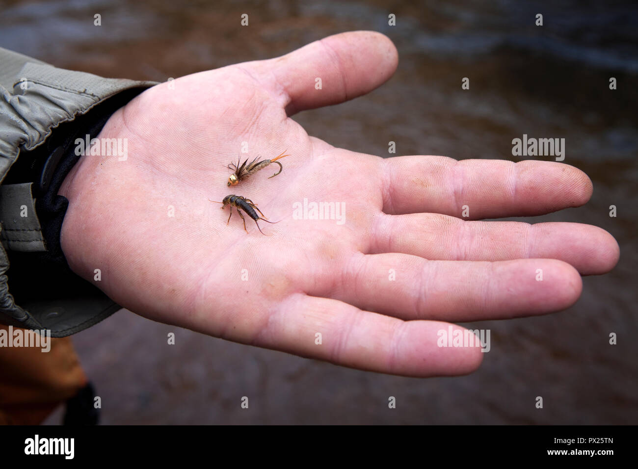 Freshwater fly fishing for trout and salmon Stock Photo Alamy