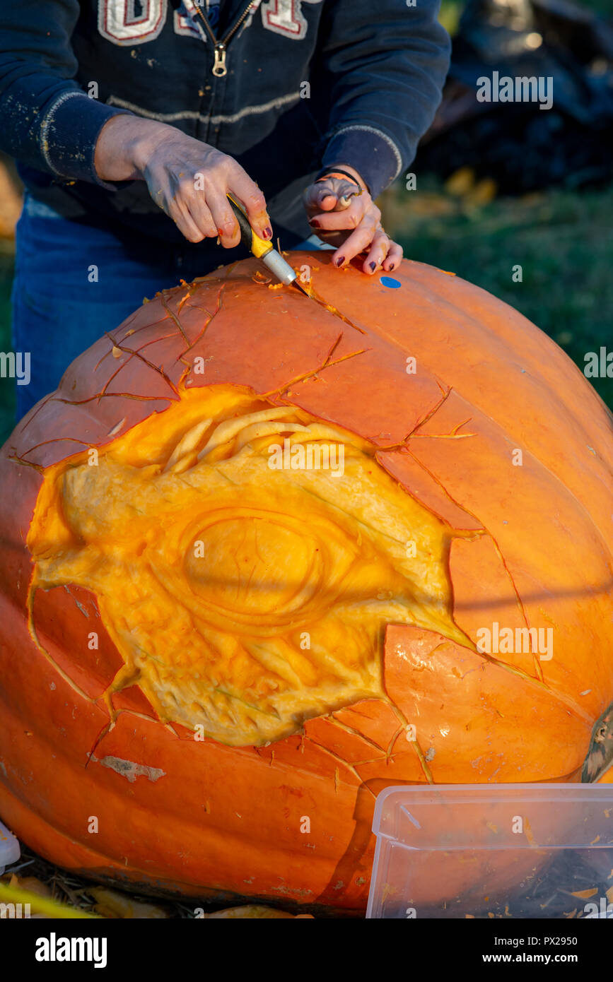 CHADDS FORD, PA OCTOBER 18 Person carving pumpkin at The Great