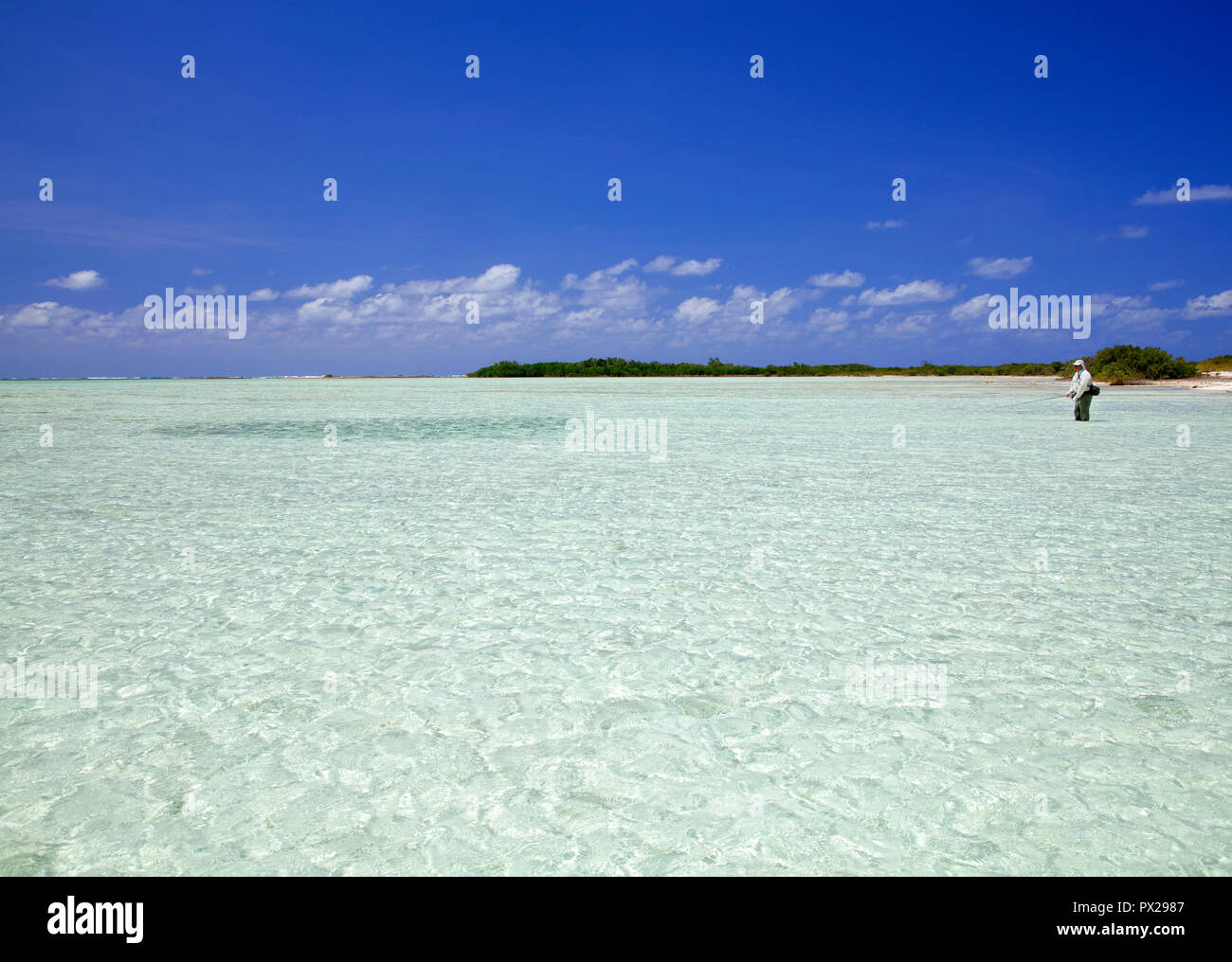 Fly fishing for bonefish in the Bahamas Stock Photo