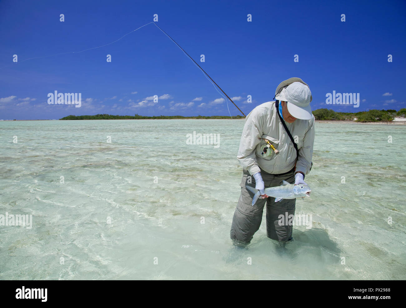 Fly fishing for bonefish in the Bahamas Stock Photo Alamy