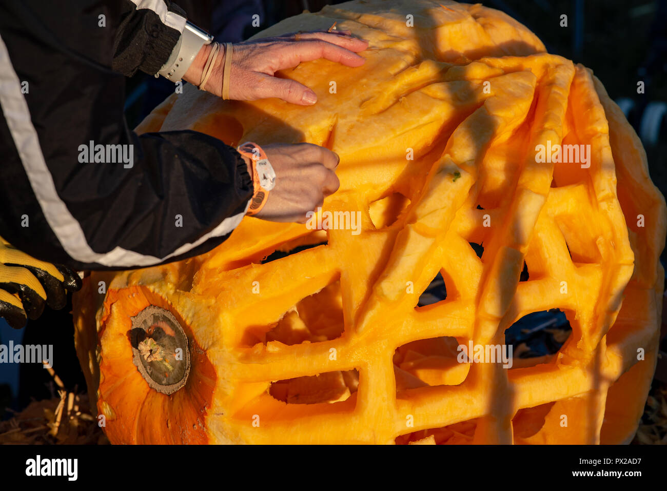 CHADDS FORD, PA OCTOBER 18 View Person carving pumpkin at The Great
