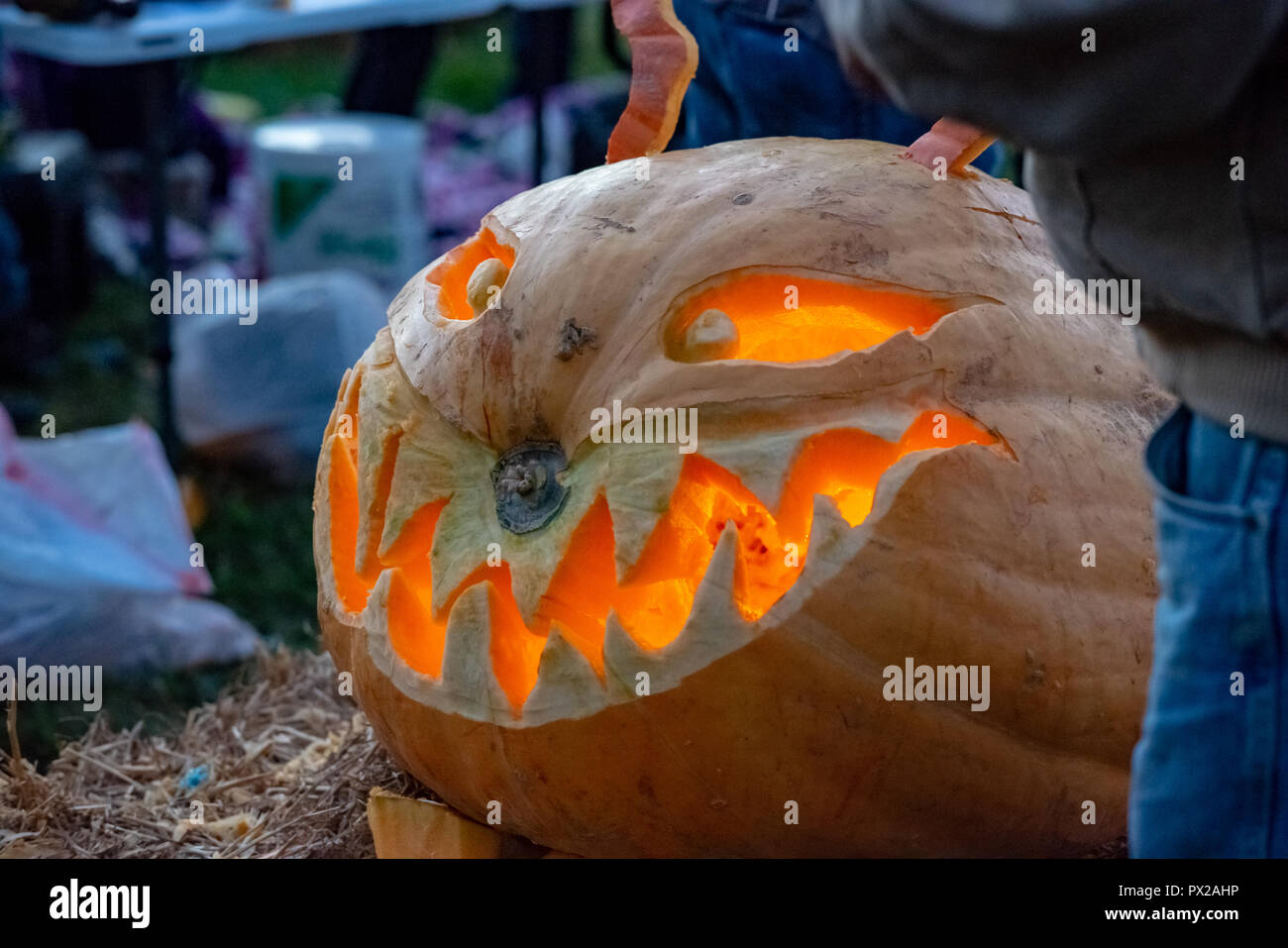 CHADDS FORD, PA OCTOBER 18 View of The Great Pumpkin Carve carving