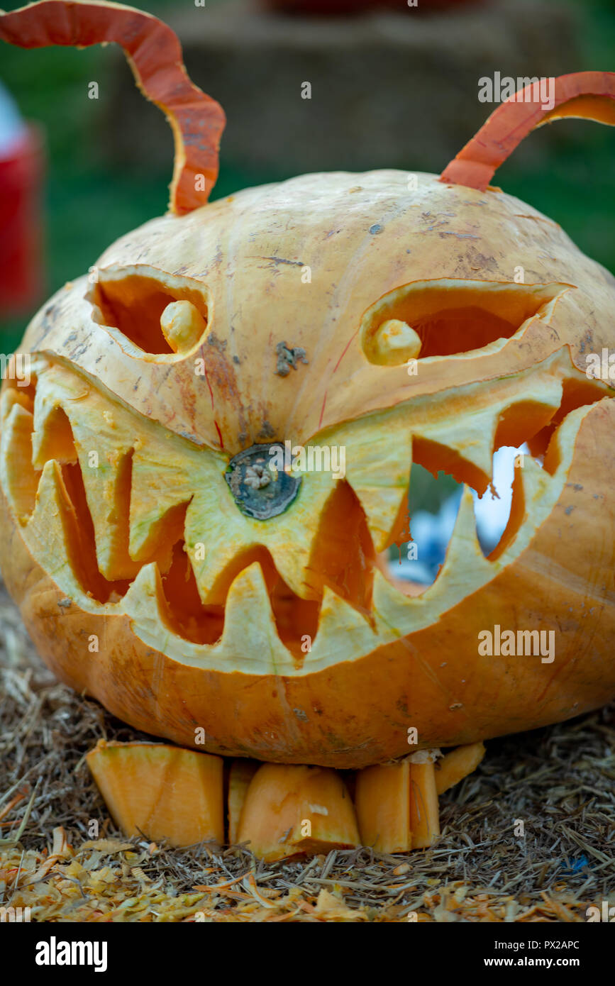 CHADDS FORD, PA OCTOBER 18 View of The Great Pumpkin Carve carving