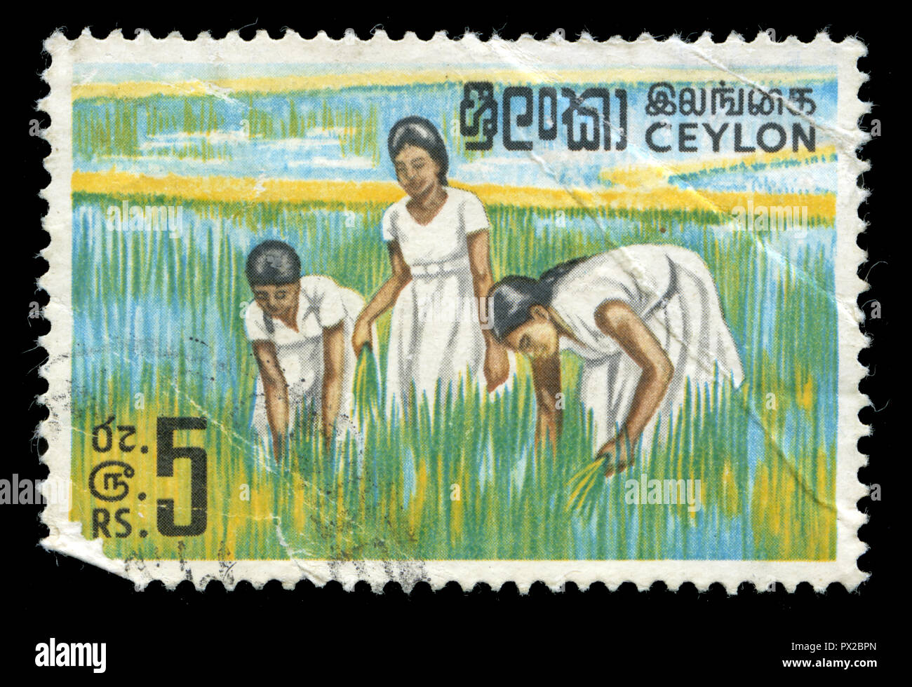 Postmarked stamp from Sri Lanka in the Definitive Issue 196472 series