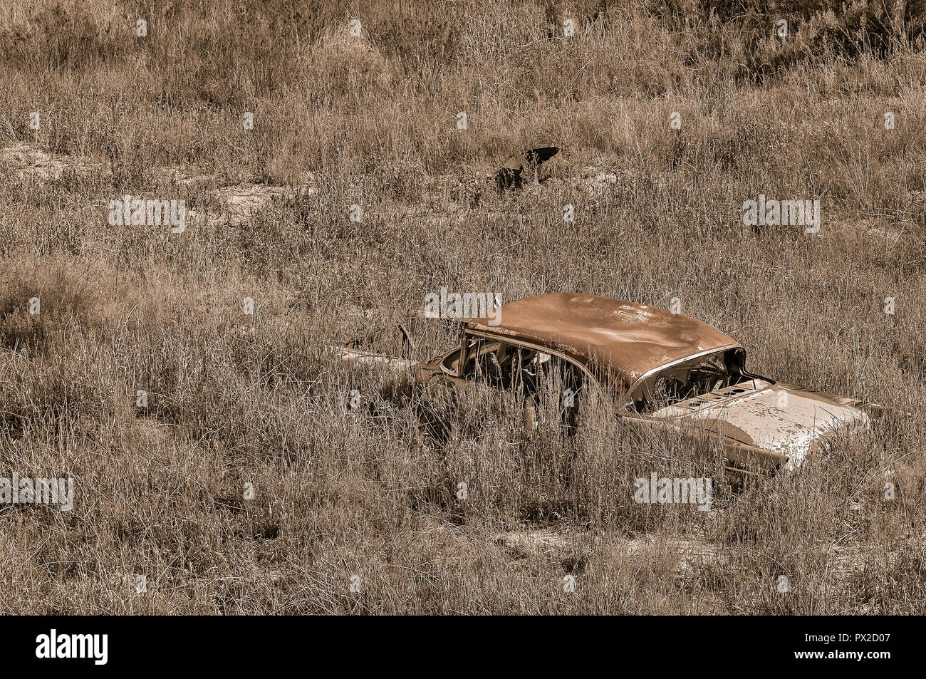 Abandoned car in arroyo, Cuba, New Mexico, USA Stock Photo