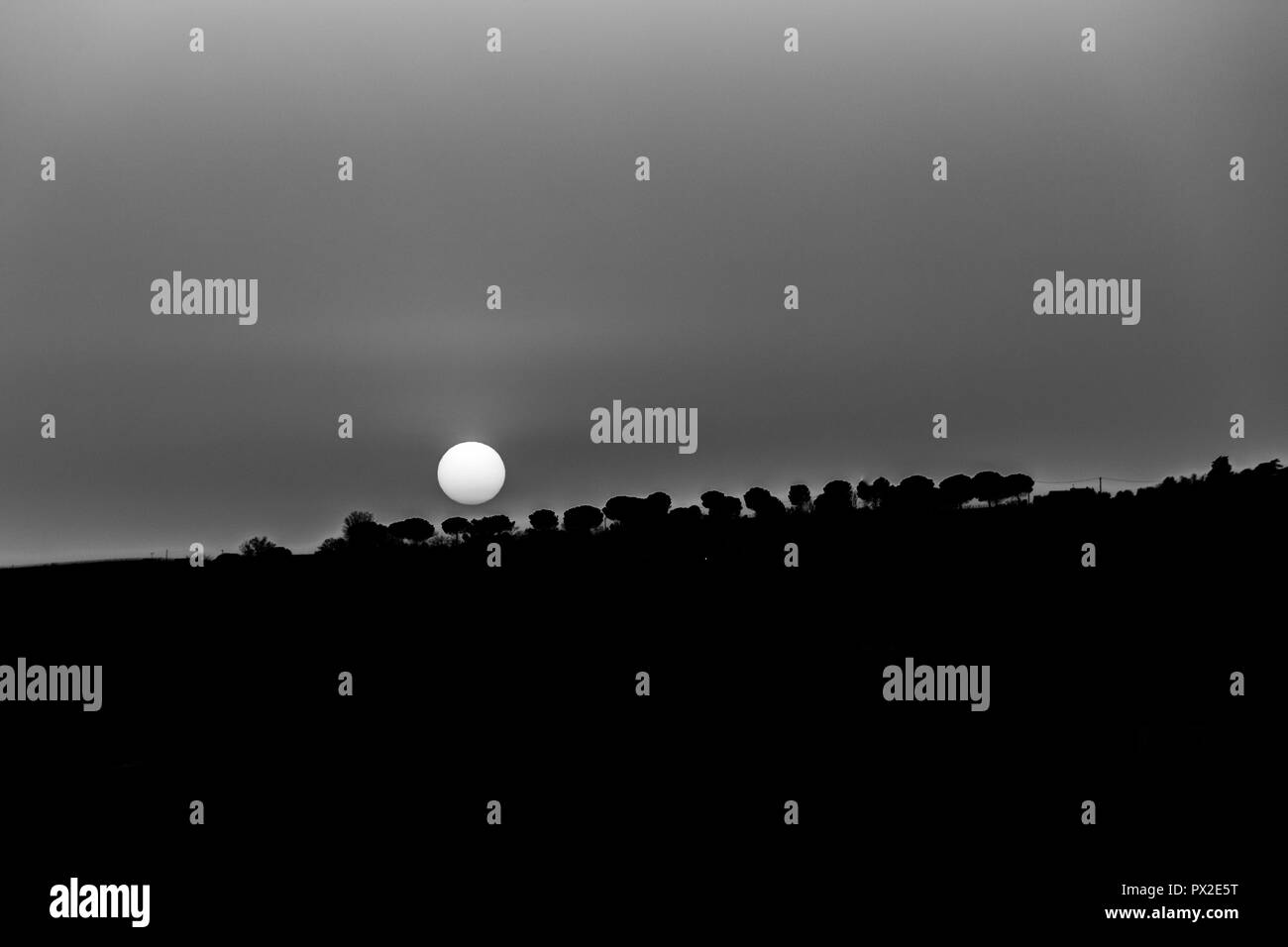 Moody sunset over trees silhouettes Stock Photo