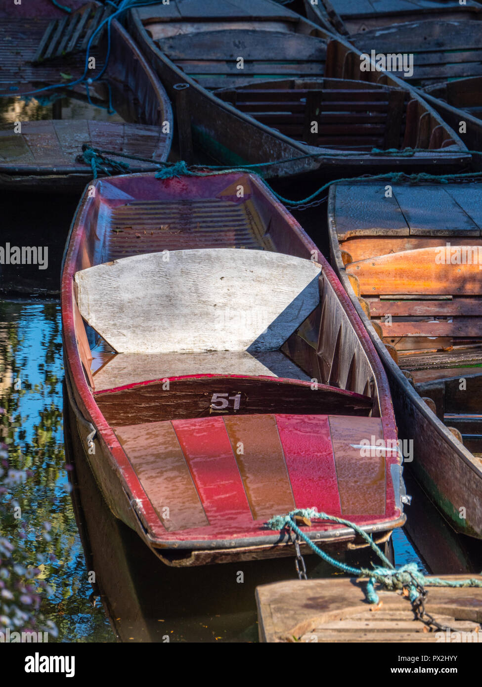 Punt, River Cherwell, University of Oxford Botanic Garden, Oxford, Oxfordshire, England, UK, GB. Stock Photo