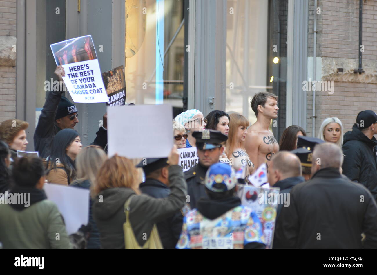 Manhattan, United States. 18th Oct, 2018. Today animalrights