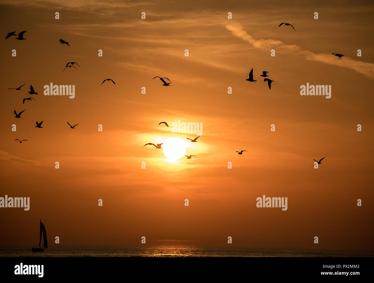 silhouette of seagulls in sunset sky over Lake Michigan water with sailboat Stock Photo