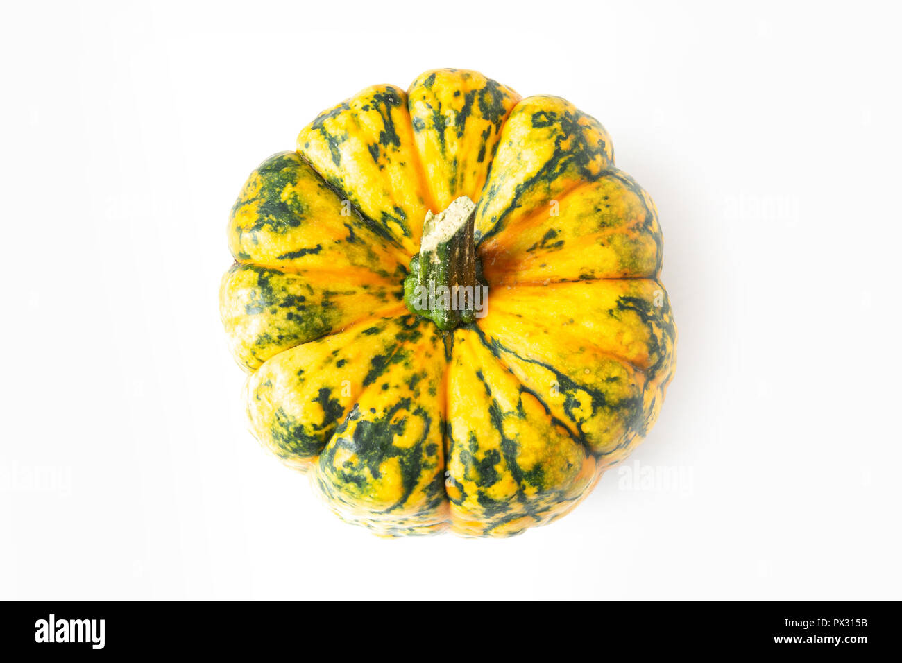 Pumpkin isolated on white background Stock Photo - Alamy