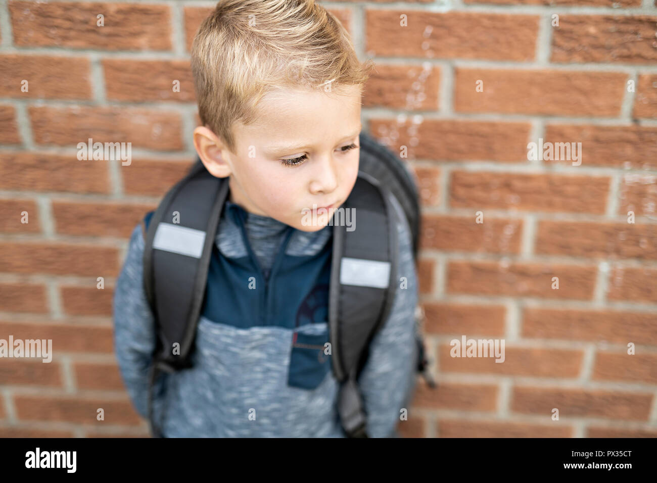 A Back to school. Happy little boy with backpack Stock Photo - Alamy